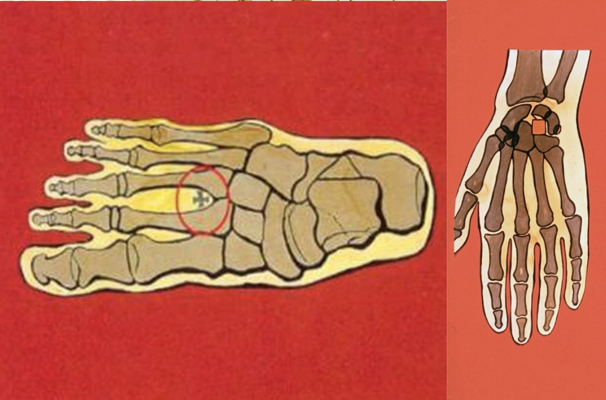 Forensics of Crucifixion Nails