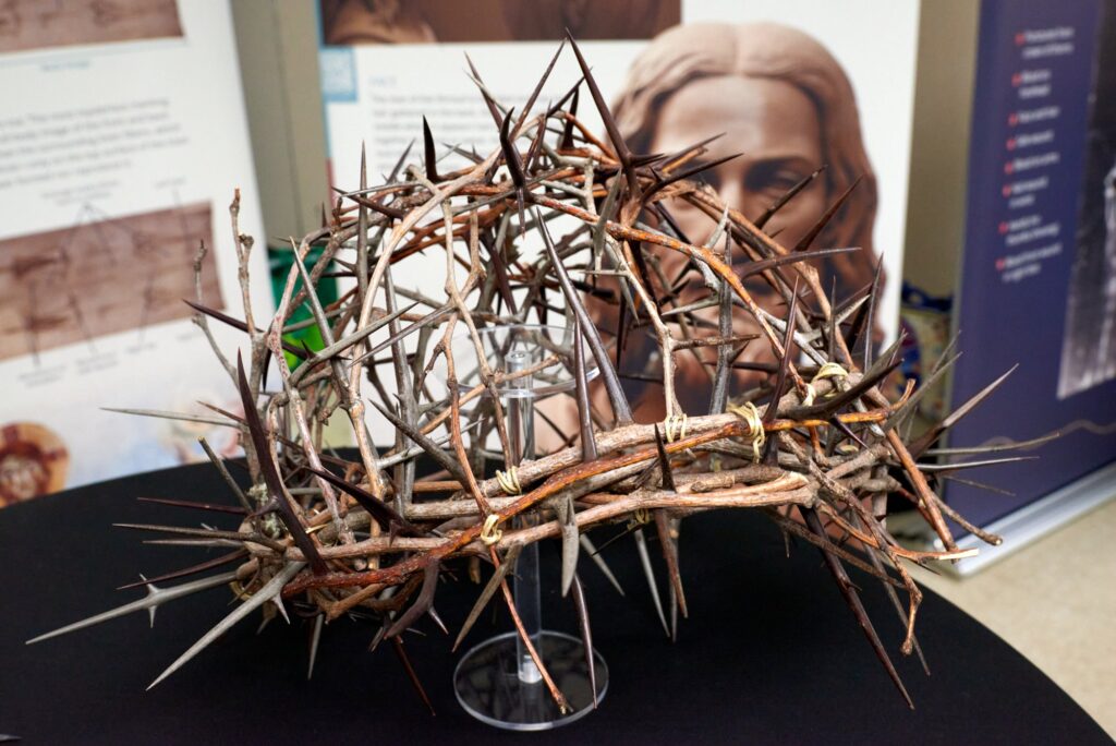 Replica crown of thorns in front of the face of the Man of the Shroud
